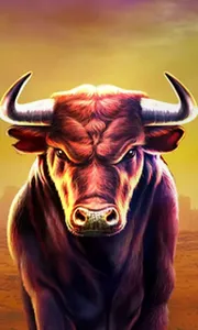 Black Bull